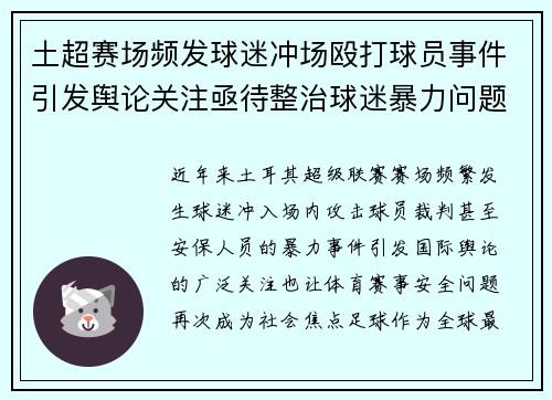 土超赛场频发球迷冲场殴打球员事件引发舆论关注亟待整治球迷暴力问题 土超赛场频发球迷冲场殴打球员事件引发舆论关注亟待整治球迷暴力问题